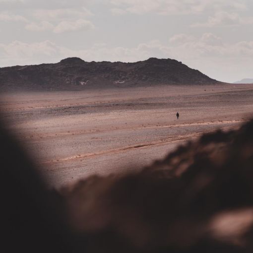 Diari del Dakar: Boira al desert