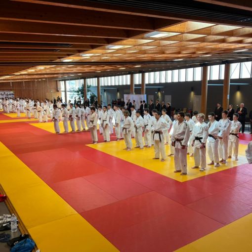 L'equip de la Federació de Judo cau als 1/8 de final del Campionat d'Occitània