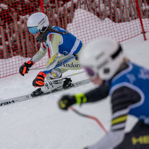Andorra frega els metalls en el National Team Event del Borrufa