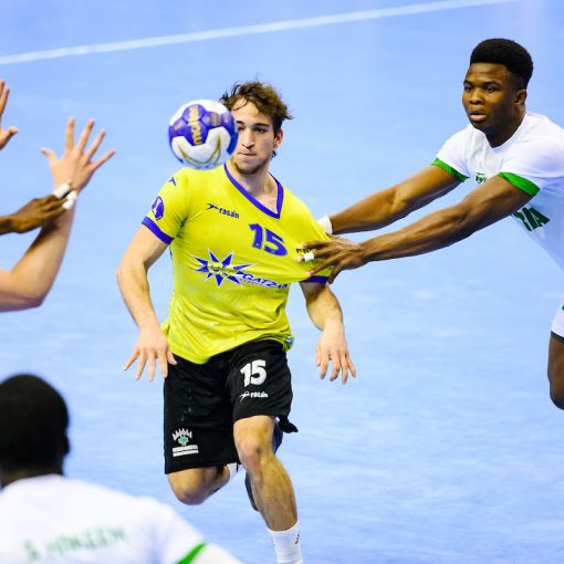 La selecció absoluta d'handbol obté el millor resultat de la seva història