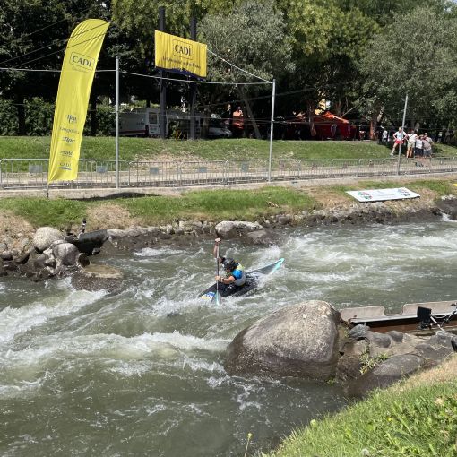 Cara i creu per Dòria i Pellicer en C1
