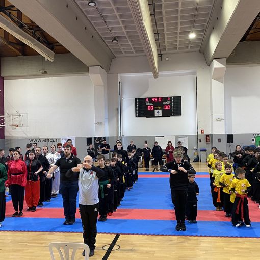 Fins a 130 competidors es donen cita al campionat d'Encamp de kung-fu