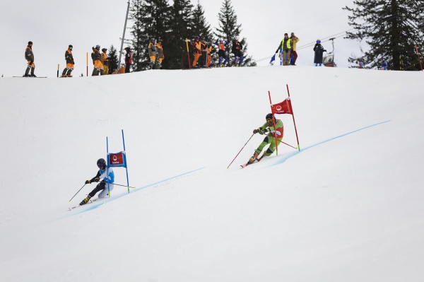 /tmp/173396_ski.jpg